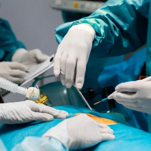 الخدمات الجراحية