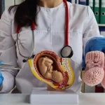 قسم النساء والولادة